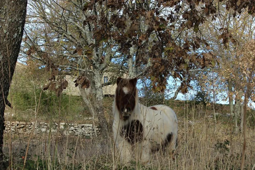 Agriturismo Poggio Ai Legni Hotel Sovicille Alloggio per agriturismo